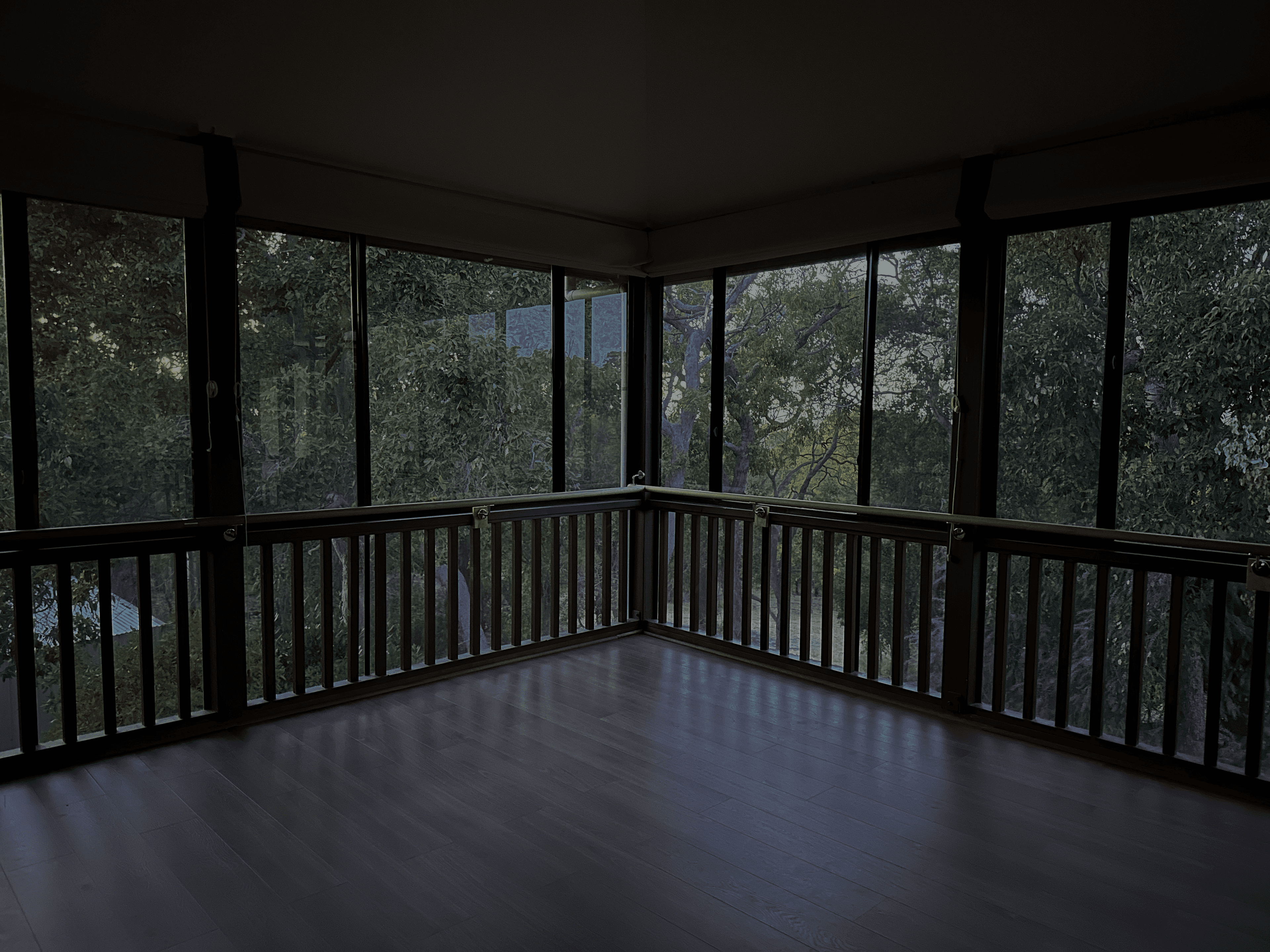Treetops studio